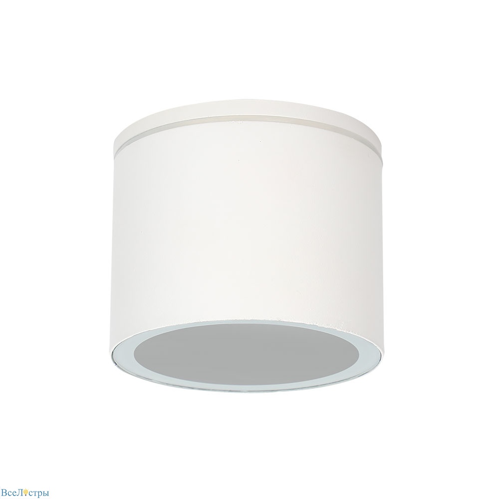 уличный потолочный светильник arte lamp piautos a1913pf-1wh