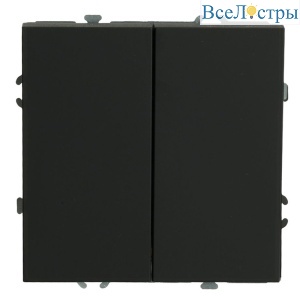 Выключатель 2-клавишный Stekker Эмили RSW10-5104-10ZK 50247
