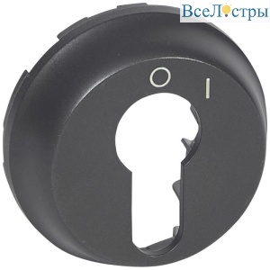 Лицевая панель Legrand Celiane выключателя с ключом 2-позиционный графит 067969