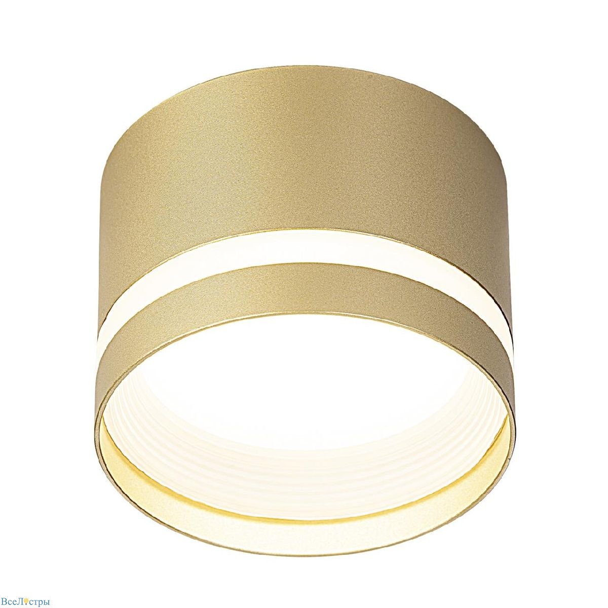 накладной светильник citilux hardy cl002c12