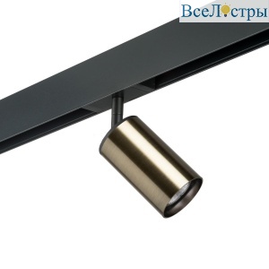 Трековый светильник Lightstar Rullo (214431+595057) PRO431