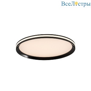 Потолочный светильник LED4U L3020-400 BK