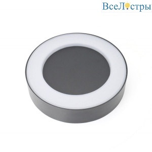 Светильник настенный Favourite Washer 2865-1W