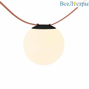 Трековый светильник Denkirs BELTY ORB DK5550-BK