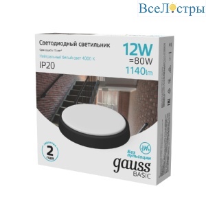 Настенно-потолочный светильник Gauss Basic 193411312B