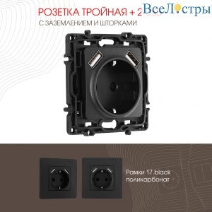 Розетка с заземлением, шторками + 2 USB Arte Milano 217.47-1.black