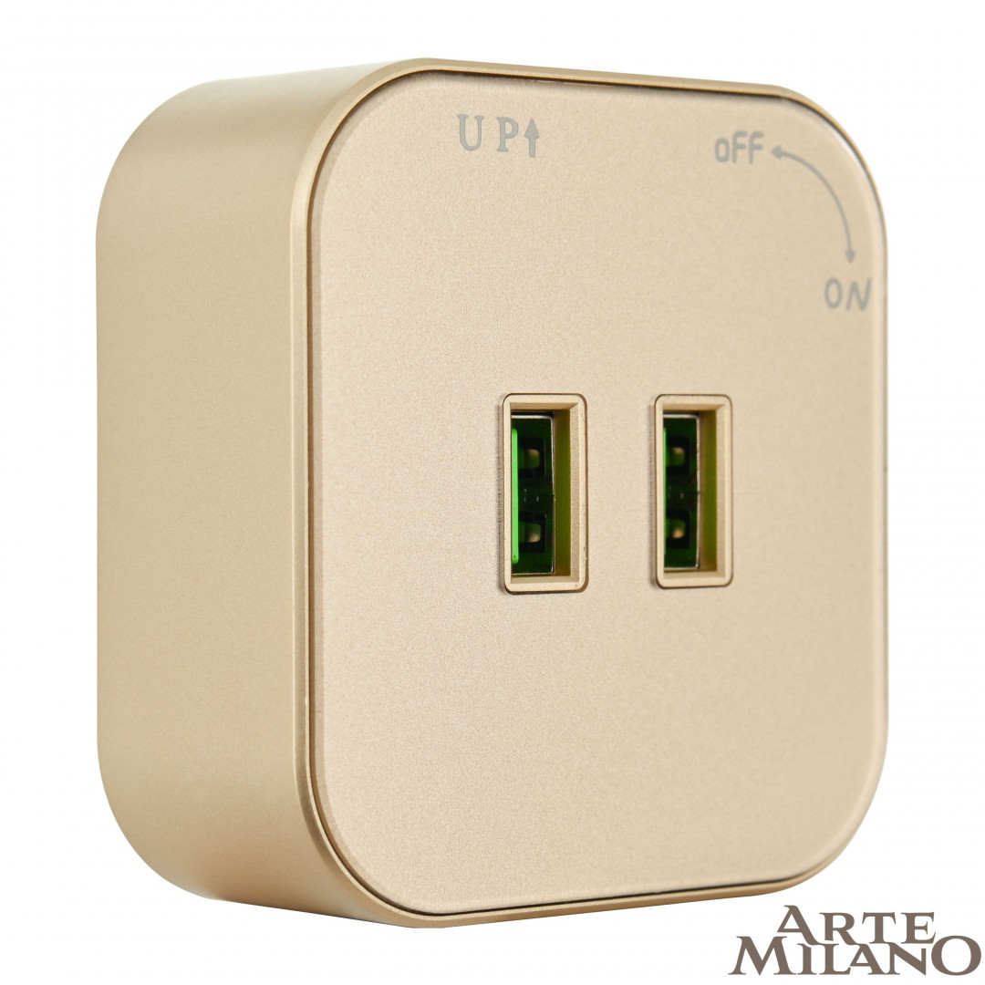 трековая розетка arte milano am-track-sockets 380022ts/usbx2 gold