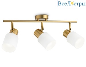 Спот Ambrella Light Traditional TR3972