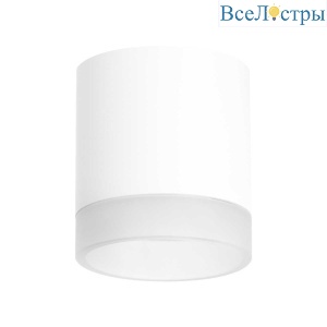 Потолочный светильник Lightstar Rullo (213486+202480) R348680