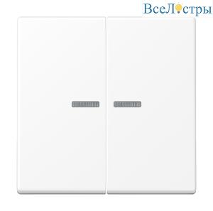 Клавиша 2-ная с двумя линзами Jung A500 A595KO5WWM