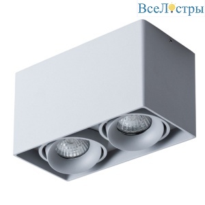 Потолочный светильник Arte Lamp Pictor A5654PL-2GY