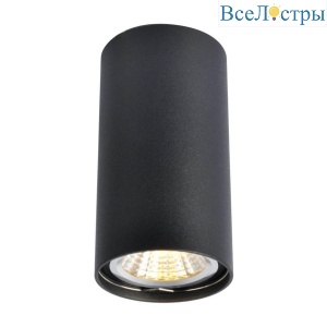 Накладной светильник Arte Lamp Unix 1516 A1516PL-1BK