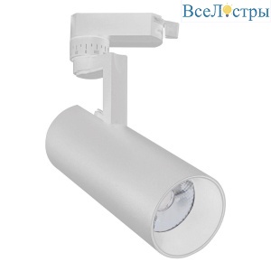 Трековый светодиодный светильник Escada 20029TRA/02LED SWH