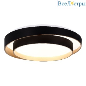 Потолочный светильник Evoluce Crosby SLE6009-402-01