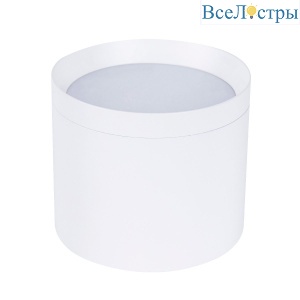 Накладной светильник Favourite Rote 4708-1C
