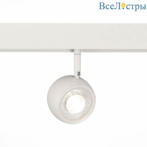 Трековый светодиодный светильник ST Luce Dero ST355.546.10