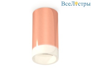 Потолочный светильник Ambrella Light Techno Spot XS6326021 (C6326, N6248)