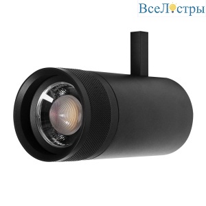 Трековый светильник Lightstar Canno Pro 304307