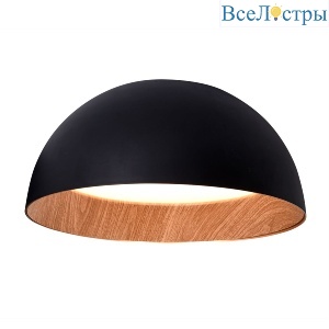 Потолочный светильник Delight Collection C0207-500A black/wood