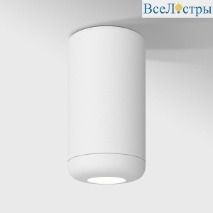 Потолочный светодиодный светильник Elektrostandard Onde 25044/LED 10W 4000K белый a064195