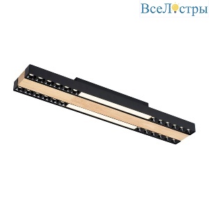 Потолочный светильник F-Promo Zebra 4440-2C