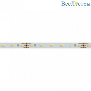Светодиодная лента Arlight 9,6W/m 120LED/m 3528SMD теплый белый/белый 5M 025211(2)