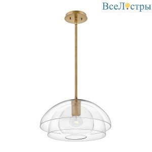 Подвесной светильник Hinkley Lotus QN-LOTUS-P-HBR