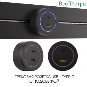 Трековая розетка Arte Milano Am-track-sockets-39 399731TS/USB-Type-C Black