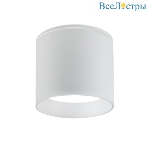 Уличный потолочный светильник Favourite Fantum 4662-1U