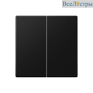 Клавиша 2-ная Jung A595SWM