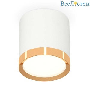 Комплект накладного светильника Ambrella light Techno Spot XS (C8141, N8124) XS8141004
