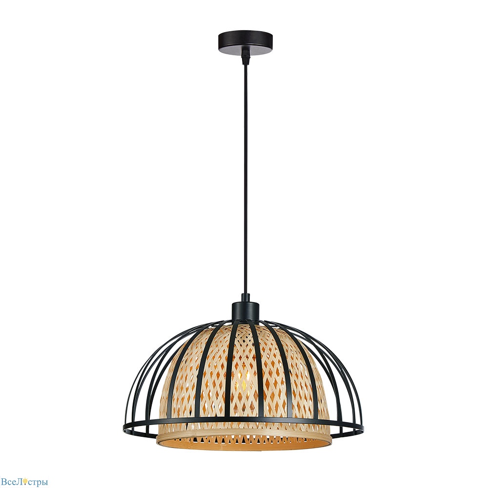 подвесной светильник arte lamp woodstock a7071sp-1bk