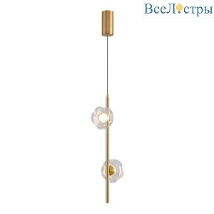 Подвесной светильник Aployt Tereze APL.074.06.02