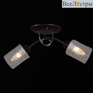 Потолочный светильник Reluce 32298-0.3-02