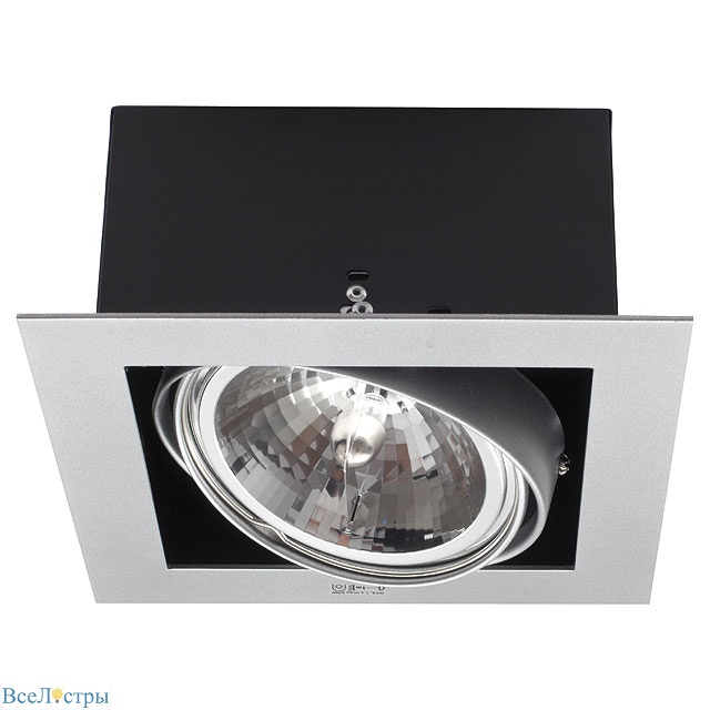 карданный светильник kanlux mateo dlp-150-gr 4960