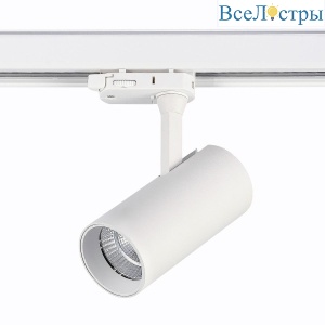 Трековый светодиодный светильник ST Luce ST661.536.10