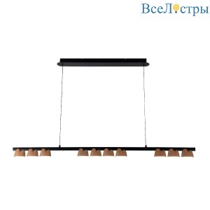 Подвесная люстра Favourite Interline 4266-10P