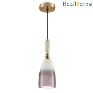 Подвесной светильник Lumion Suspentioni Derbi 8285/1A