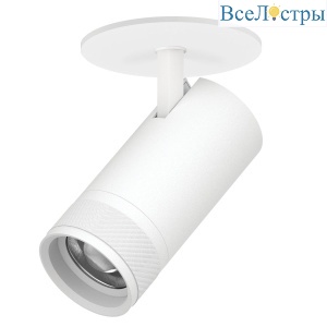 Встраиваемый светильник 20-55G с адаптером Lightstar Canno Pro C4306RS