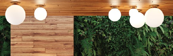 Bosco Odeon Light