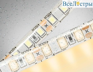Светодиодная влагозащищенная лента Ambrella Light 9,6W/m 120LED/m 2835SMD теплый белый 5M GS1201