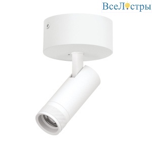Накладной светильник 20-55G с адаптером Lightstar Canno Pro C4126SO