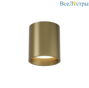 Накладной светильник Denkirs Shine tube DK2610-SB