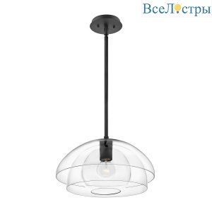 Подвесной светильник Hinkley Lotus QN-LOTUS-P-BLK