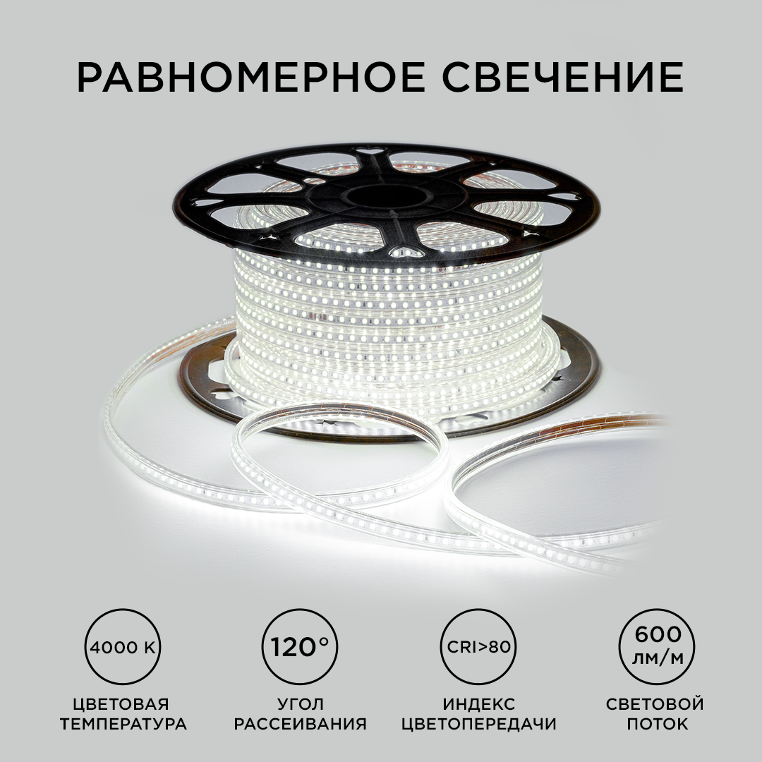 светодиодная лента ogm эконом 220в 2835 7вт/м 4000к 50м ip65 o17-08