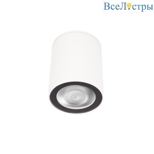 Накладной светильник Loft IT Rush 10344 White