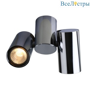 Потолочный светильник Divinare Gavroche 1354/02 PL-2