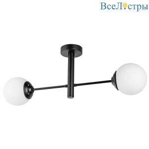 Потолочный светильник Lampit Fino TP 2007-2 BK