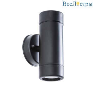 Уличный настенный светильник Arte Lamp Atlas A3503AL-2BK