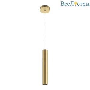 Подвесной светильник Maytoni Pro Focus MOD161PL-01G1